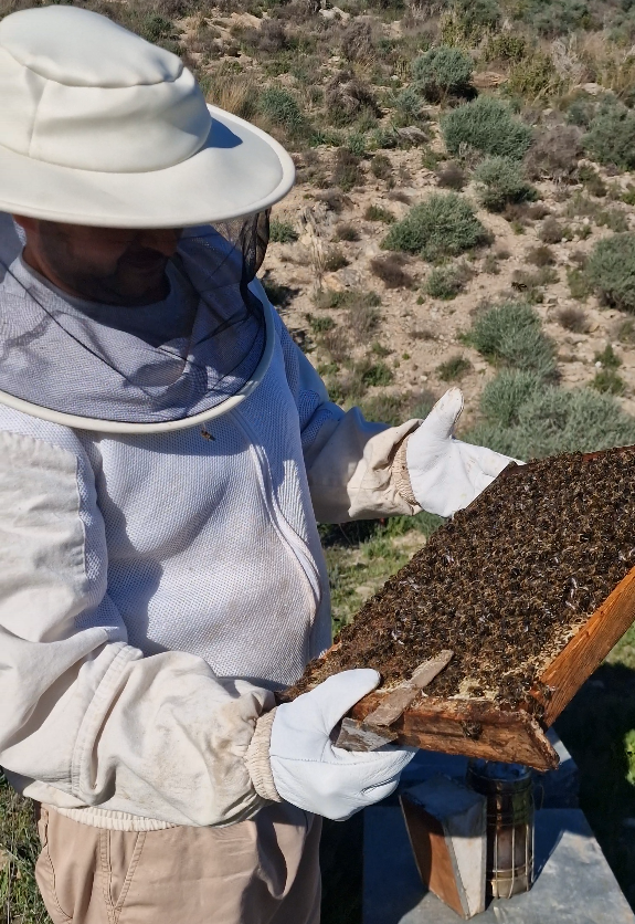 3 Kilos de miel cruda Pura